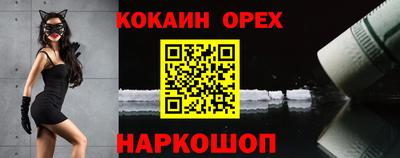 гашик Аргун