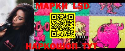 гашик Аргун