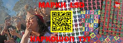 гашик Аргун