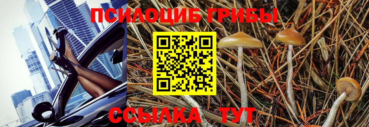 Псилоцибиновые грибы Cubensis  Вход с VPN  Вятские Поляны  Галлюциногенные грибы ЛСД 